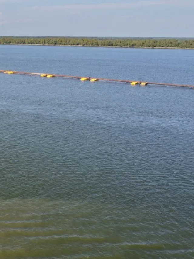 New Orleans Faces Salty Water Crisis